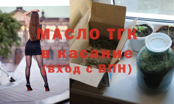 индика Няндома