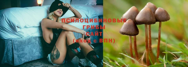 спиды Алексин